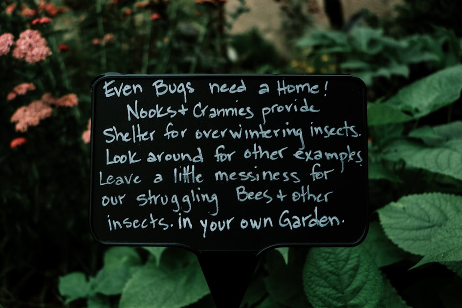 Effective Pest Control Strategies